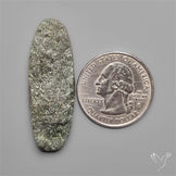 Rare Lodolite Quartz with Golden Rutile Inclusions