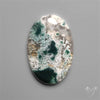 Horse Canyon Moss Agate Cabochon