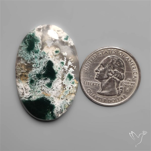 Horse Canyon Moss Agate Cabochon