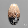 Indonesian Palmroot Agate Cabochon