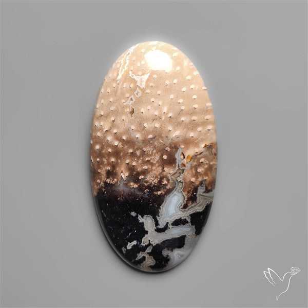 Indonesian Palmroot Agate Cabochon