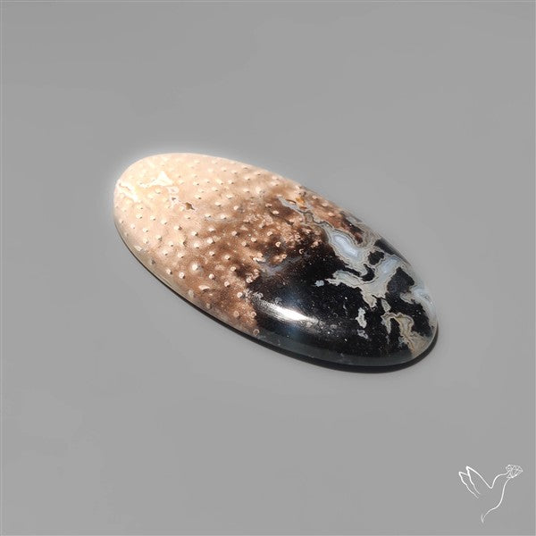 Indonesian Palmroot Agate Cabochon
