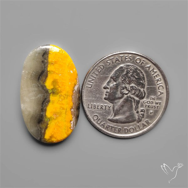 Bumble Bee Jasper In Quartz