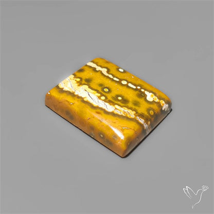 Orbicular Ocean Jasper