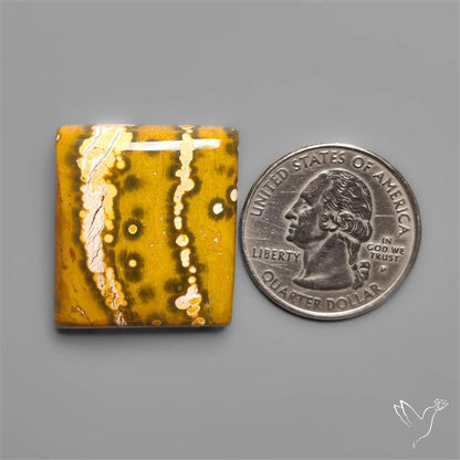 Orbicular Ocean Jasper