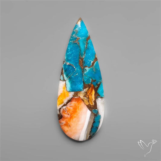 Spiny Oyster Mohave Turquoise Cabochon