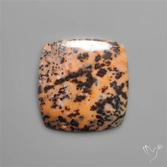 Honey Dendritic Agate
