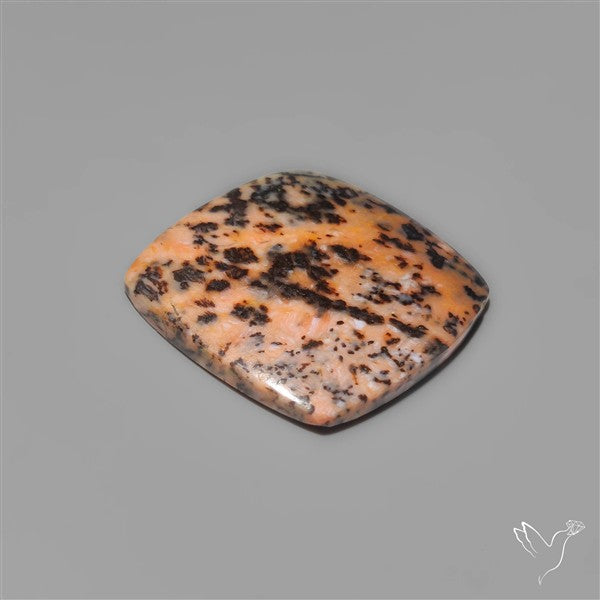 Honey Dendritic Agate