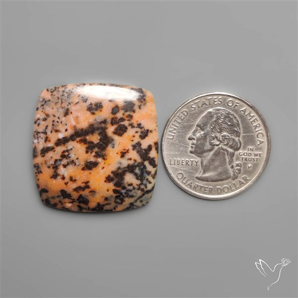 Honey Dendritic Agate