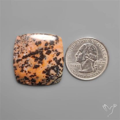 Honey Dendritic Agate