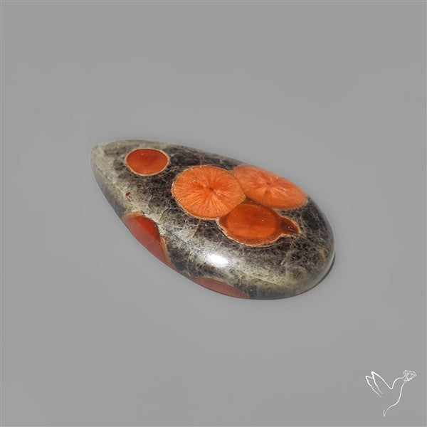 Peanut Wood Obsidian Cabochon