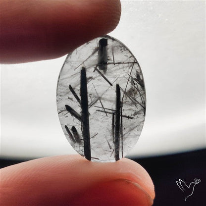 Black Tourmalinated Quartz Cabochon