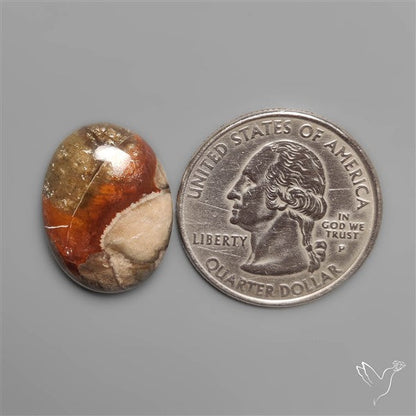Mushroom Rhyolite Cabochon