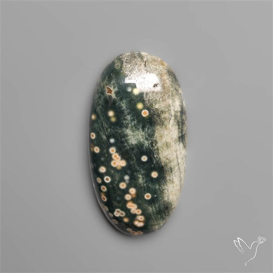 Orbicular Ocean Jasper Cabochon