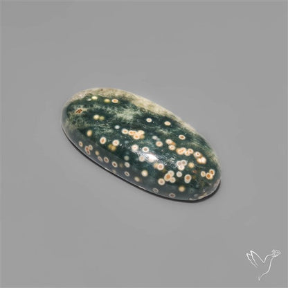 Orbicular Ocean Jasper Cabochon