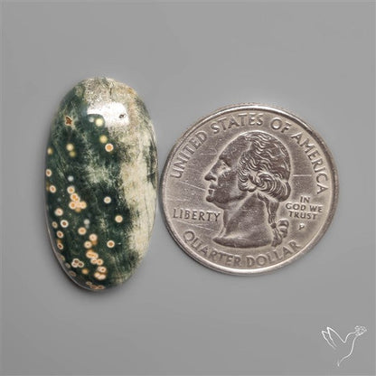 Orbicular Ocean Jasper Cabochon