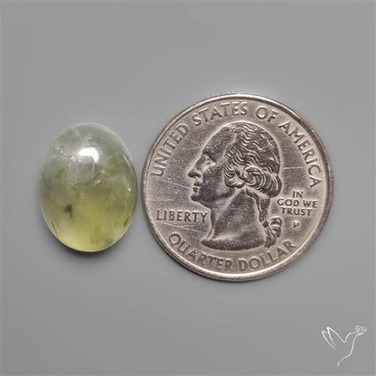 Black Tourmalinated Prehnite Cabochon