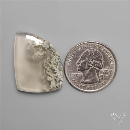 Horse Canyon Moss Agate Cabochon