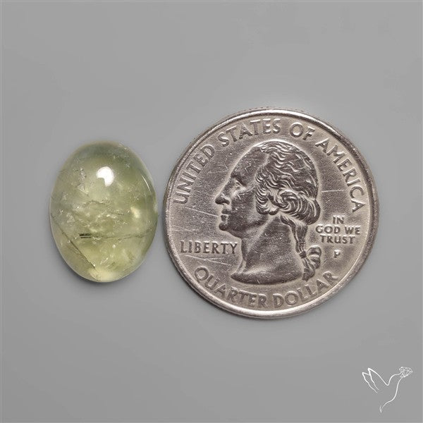 Black Tourmalinated Prehnite Cabochon