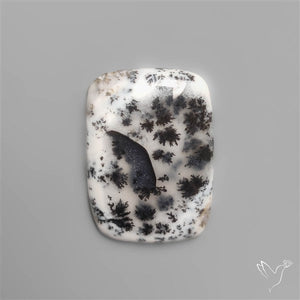 Gem Dendritic Agate Cabochon