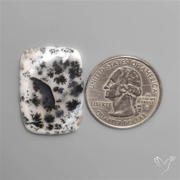 Gem Dendritic Agate Cabochon