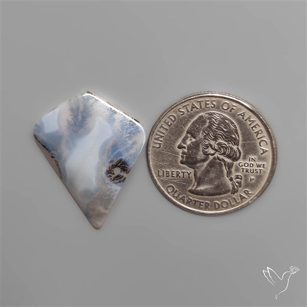 Scenic Dendritic Agate Opaque