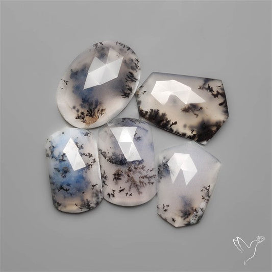 Dendritic Agates Lot