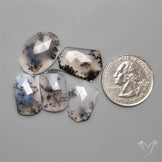 Dendritic Agates Lot