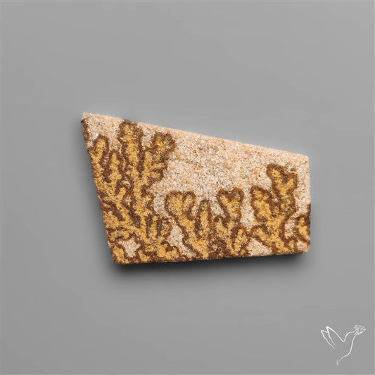 Raw Face Scenic German Dendrite