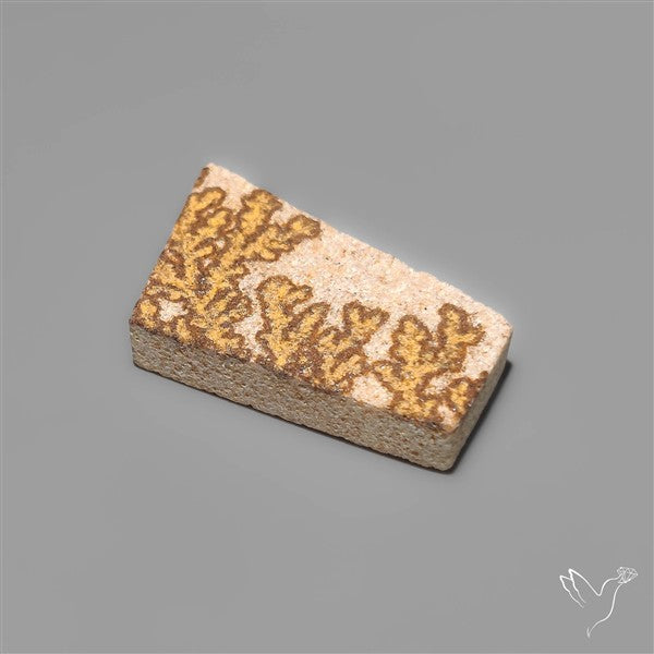 Raw Face Scenic German Dendrite