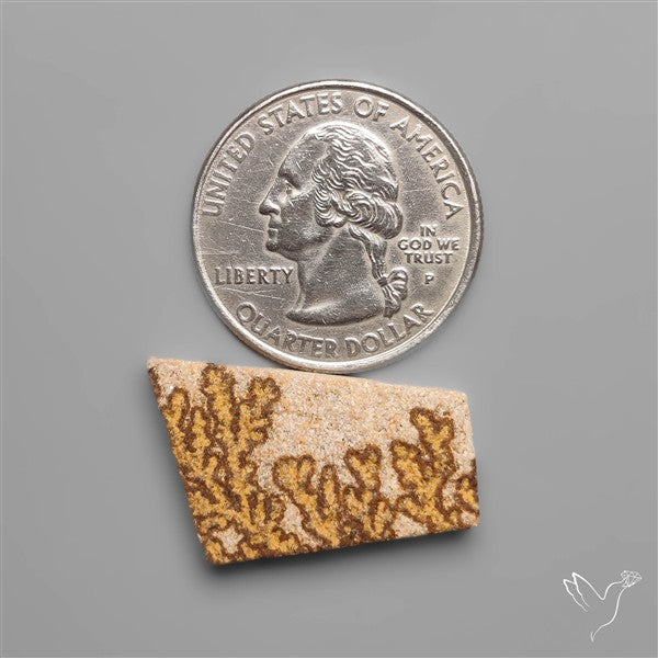 Raw Face Scenic German Dendrite