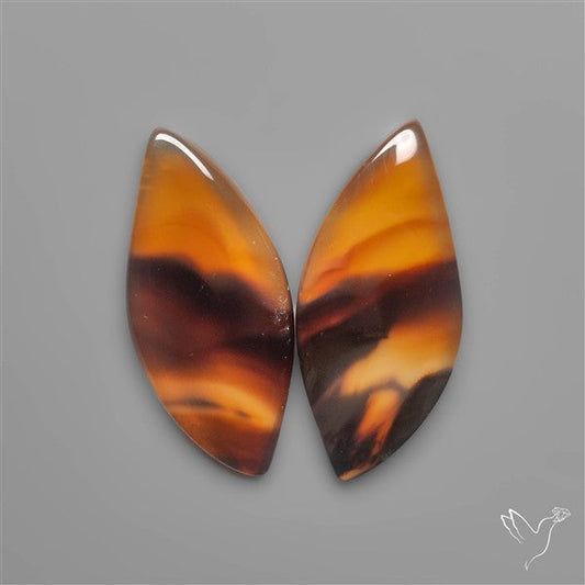 Montana Agates Pair