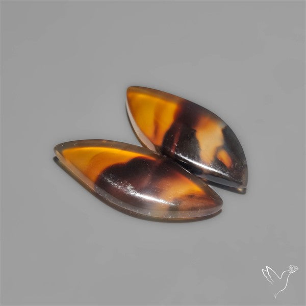 Montana Agates Pair