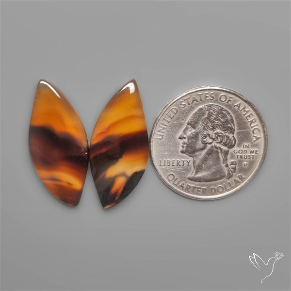 Montana Agates Pair