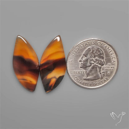 Montana Agates Pair