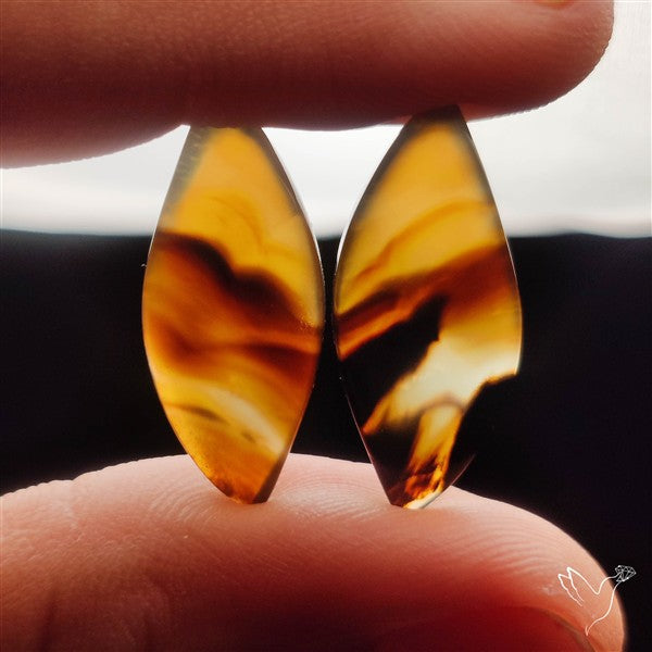 Montana Agates Pair