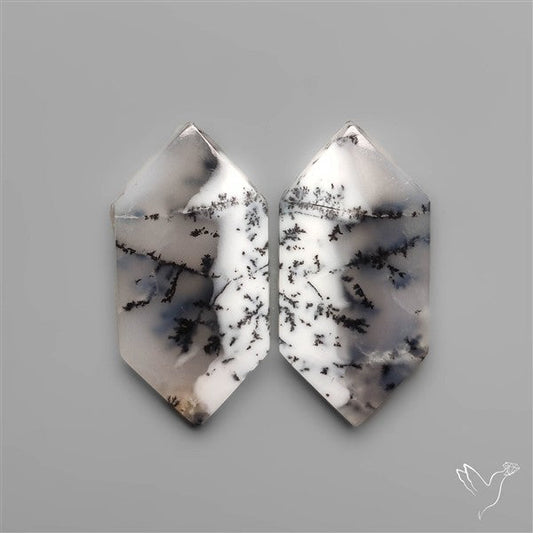 Dendritic Agates Pair