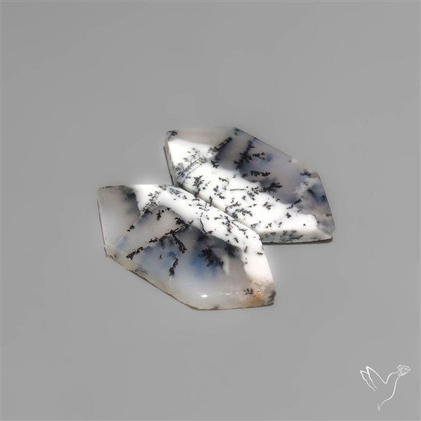 Dendritic Agates Pair