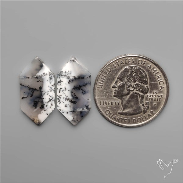 Dendritic Agates Pair