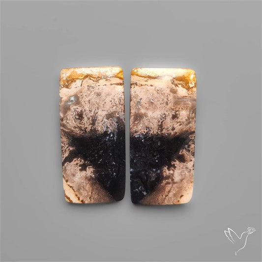 Indonesian Palmroot Agates Pair