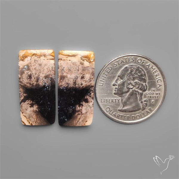 Indonesian Palmroot Agates Pair