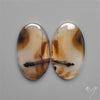 Montana Agates Pair