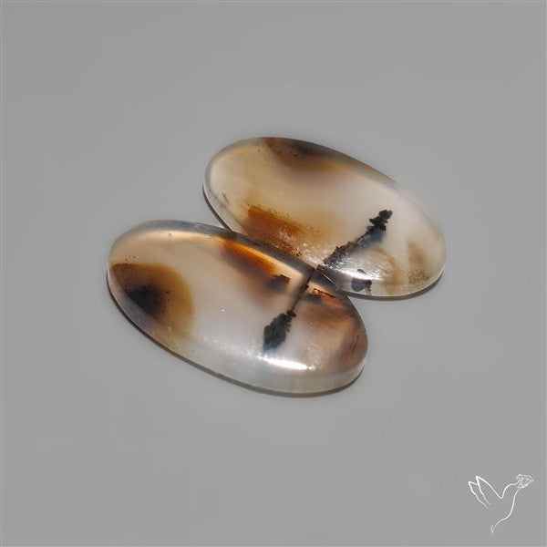 Montana Agates Pair