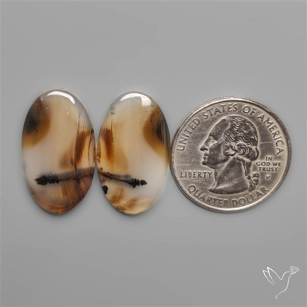 Montana Agates Pair