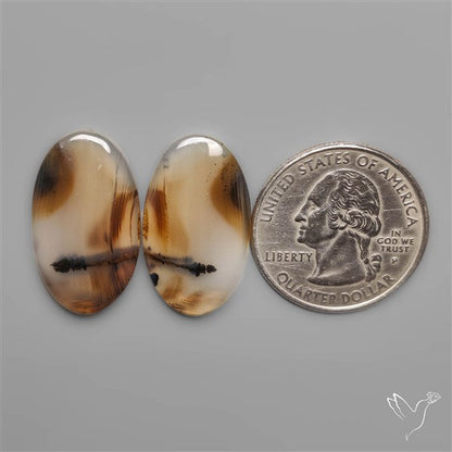 Montana Agates Pair