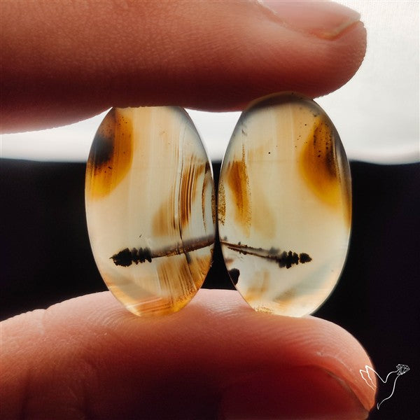 Montana Agates Pair
