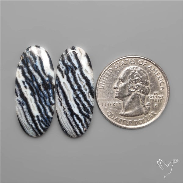 Tuxedo Agates Pair
