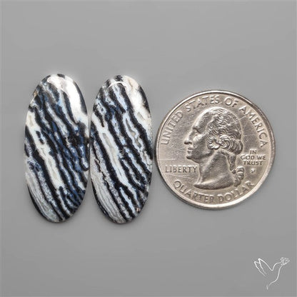 Tuxedo Agates Pair