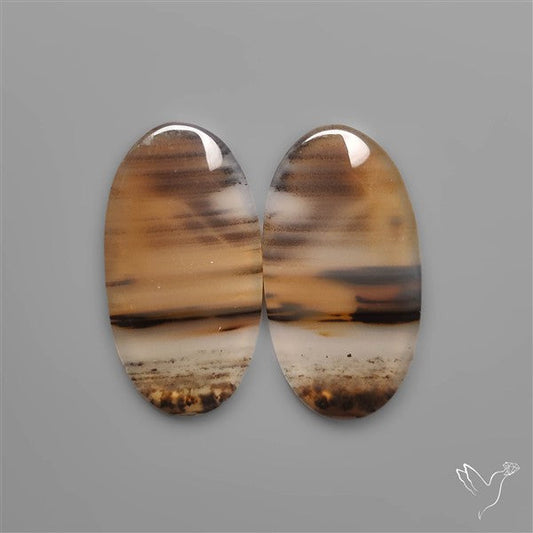 Montana Agates Pair