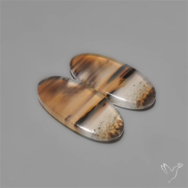 Montana Agates Pair